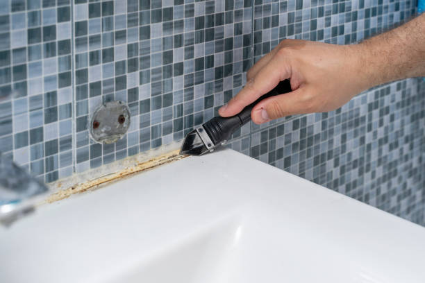 New Cumberland, WV Mold Remediation Company